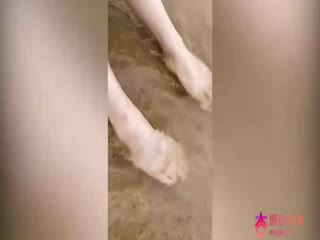 【麻豆传媒】MDX0014 空降女优 海岛浪漫篇章-宁洋子