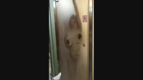 这声音自己听吧