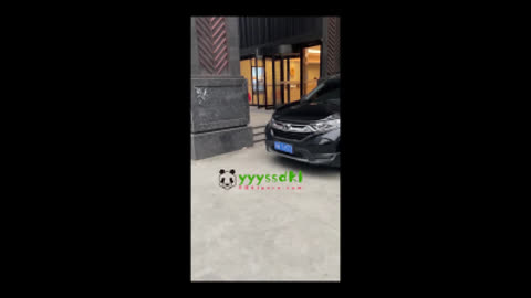谁不爱这种母狗呢