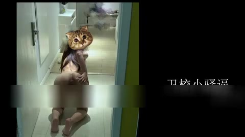 卫校小骚逼 露脸内射 2