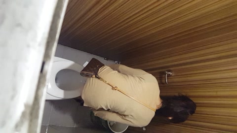 厕拍大神pany 公共女卫豪华酒店无障碍女厕实拍圆孔固定各种CP制服小姐姐方便