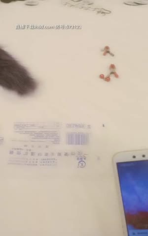 帝哥终极调教极品性爱女奴全裸调教爆插后入极品丰臀全身骚字“骚逼母狗”深喉口交完美露脸高清源码录制