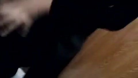 骚女广场公共洗手间自卫