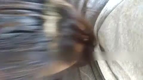 边玩电脑边吹箫