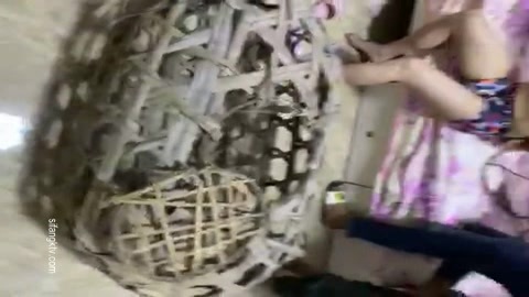 抓奸门事件 2020年广东茂名一对男女偷情抓住直接被浸猪笼视频