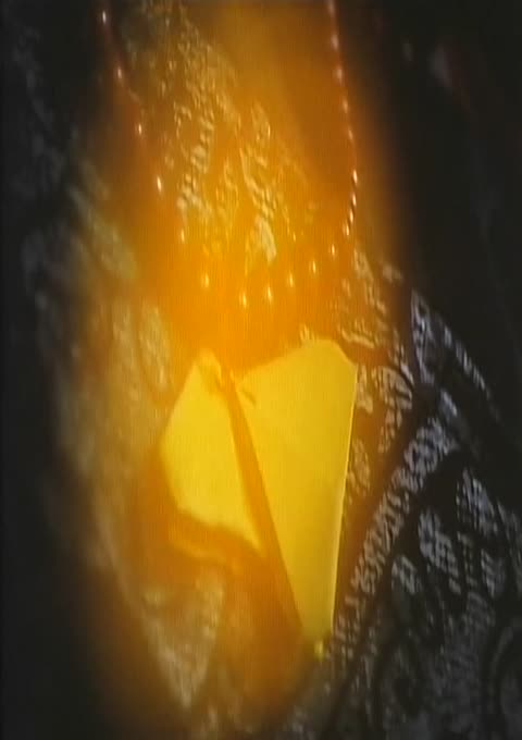 尸蛊艳谭高清调色版中文字幕（黎燕珊徐曼华）.mkv