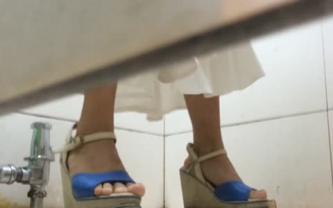 国内厕拍大神潜入某大厦写字楼女厕偷拍几个白领姐姐嘘嘘