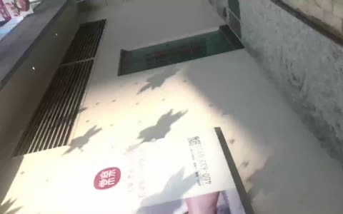 国内厕拍大神商场尾随妹子进商场女厕偷拍其中有几个嫩穴非常不错