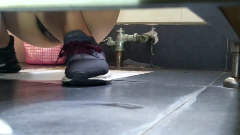单位女厕偷拍美女同事的小肥鲍