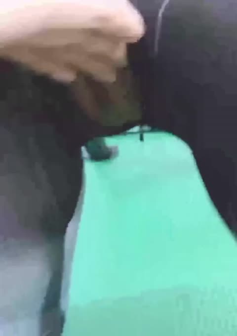 调教极品母狗【安妮】各种想象不到的女神背后的一面