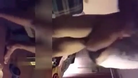 兰州 抱起来操少妇 最爱的姿势