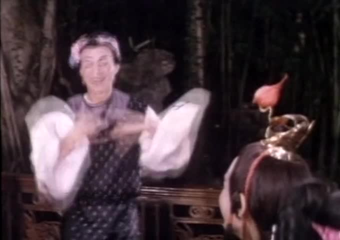 红楼春字幕版(张国荣,黄杏秀，沈杏妮).mkv