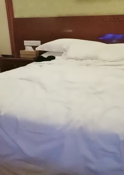 姑姑的小宝贝气质熟女跟小哥激情啪啪吃奶舔逼玩弄，主动上位抽插射了还给舔鸡巴