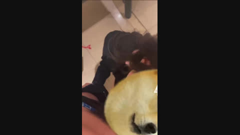 牌友走了赶紧操