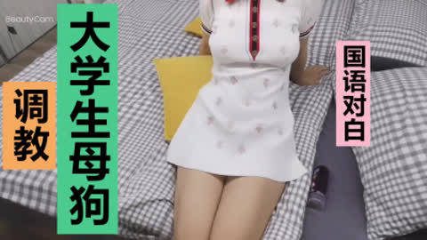 [原创] 普通话 圈里认识的大学生母狗 调教初期