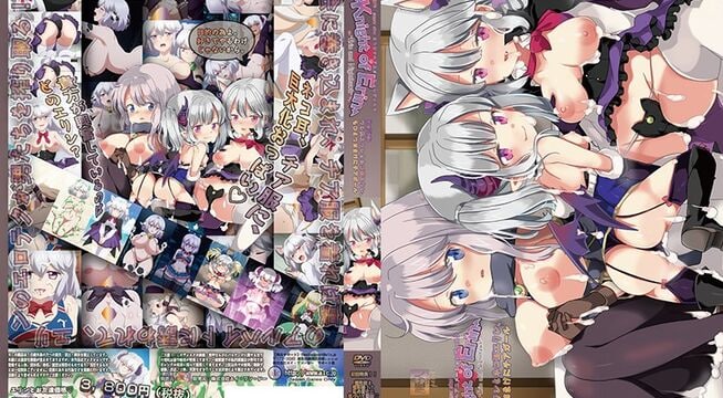 【有码中字】[魔人]Knight of Erin 4th tale（フォーステイル） メイドたちの乱交と最後の敵。エリンとナイトホークの絆エッチ.chs