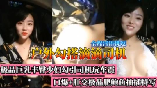 【最新泄密】【户外勾搭滴滴司机】极品巨乳丰臀少 妇勾引司机玩车震口爆＋肛交