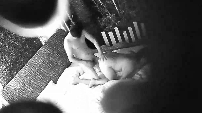 大一学生出去开房激情