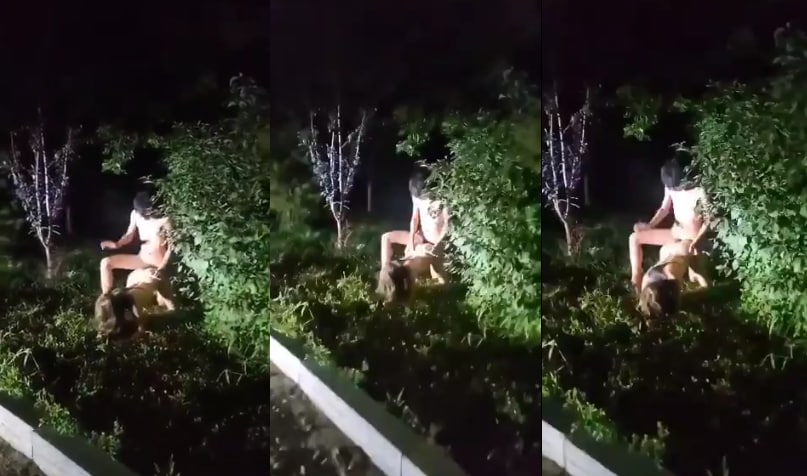 哇哦  ????
