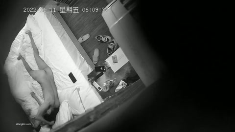 20221111流出酒店钟点房摄像头偷拍 长毛哥约少妇黄狗射尿侧入式狠草花心