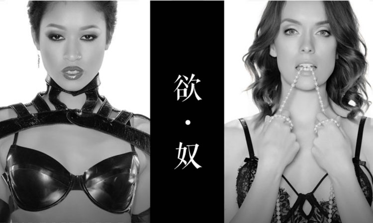 【欧美】欲奴