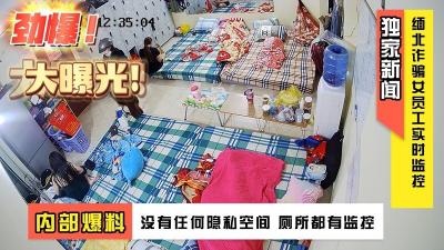 【最新泄密】缅北诈骗女员工实时监控流出