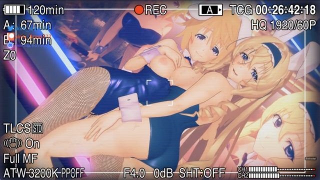 同人作品-IS02_塞西莉亚和夏洛特-LLD