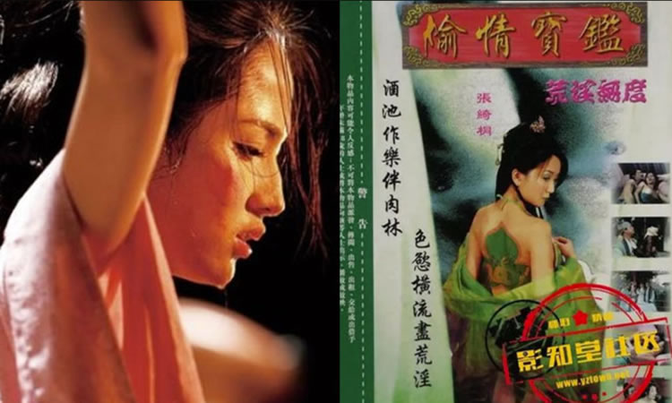 偷情宝鉴-侠骨淫心