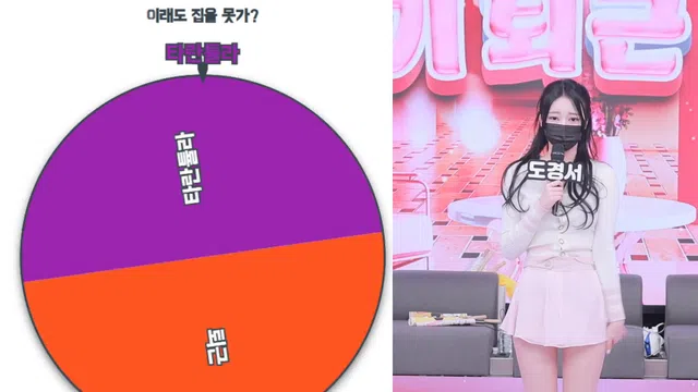 韩国主播-熊猫课堂第13集